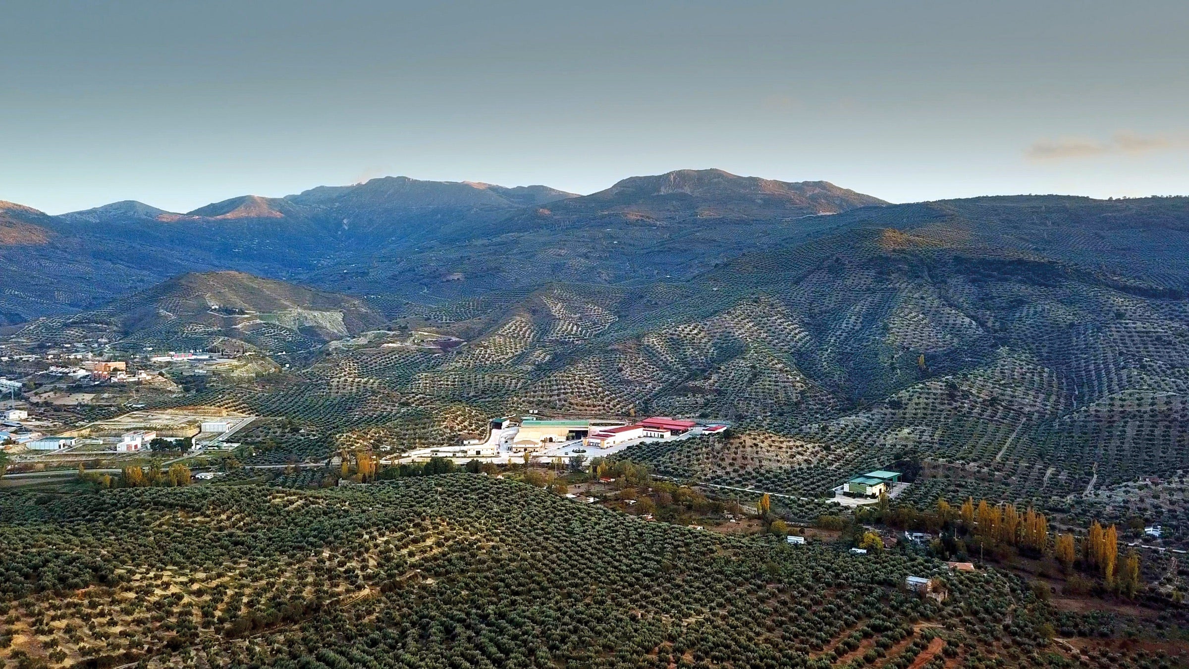 Vista aerea de la almazara de Aceites Jabalcuz al pie de la Sierra de la Pandera